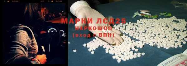 дживик Бородино