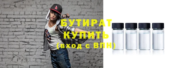 дживик Бородино