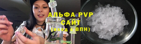 дживик Бородино