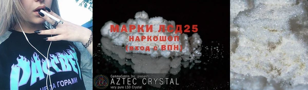дживик Бородино