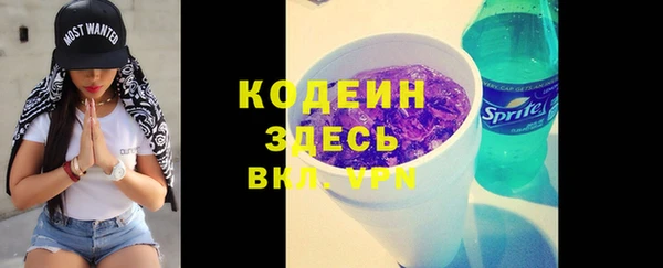 дживик Бородино