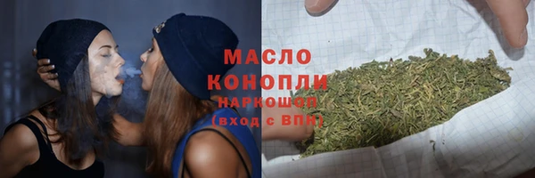 дживик Бородино