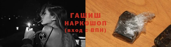 дживик Бородино