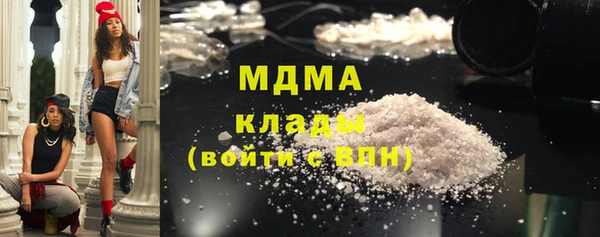 дживик Бородино