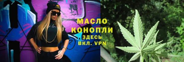 дживик Бородино